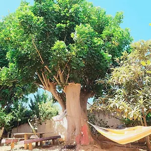 Casa Dada Marinella di Selinunte
